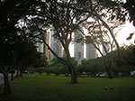 PICT5552.jpg