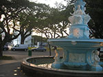 PICT5553.jpg