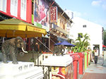 Photos