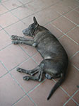 PICT5763.jpg