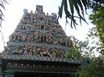 PICT5779.jpg