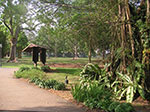 PICT5873.jpg