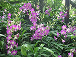 PICT5904.jpg