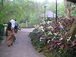 PICT5927.jpg