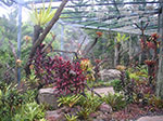 PICT5947.jpg