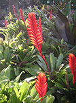 PICT5952.jpg