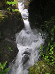 PICT5956.jpg