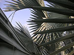 PICT5964.jpg