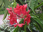 PICT5970.jpg