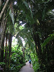 PICT5973.jpg