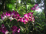 PICT5975.jpg