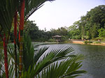 PICT5984.jpg