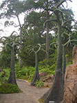 PICT5995.jpg