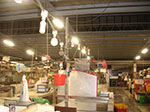 PICT6076.jpg