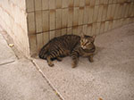 PICT6084.jpg