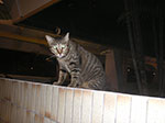 PICT6092.jpg