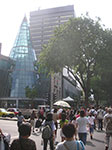PICT6105.jpg