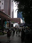 PICT6116.jpg