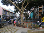 PICT6119.jpg