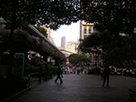 PICT6127.jpg