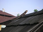 PICT6158.jpg