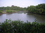 PICT6169.jpg