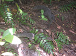 PICT6183.jpg