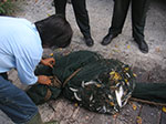 PICT6190.jpg