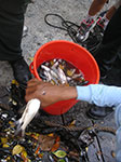 PICT6205.jpg