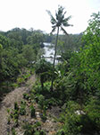 PICT6212.jpg