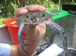 PICT6216.jpg