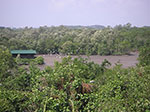 PICT6224.jpg