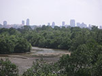 PICT6232.jpg
