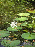 PICT6240.jpg