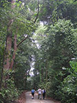 PICT6273.jpg