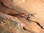 PICT6309.jpg