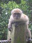 PICT6320.jpg