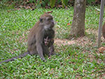 PICT6322.jpg