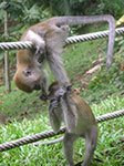 PICT6330.jpg