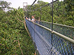 PICT6348.jpg