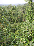 PICT6351.jpg