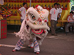 Photos