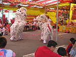 PICT6529.jpg