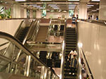 PICT6565.jpg