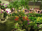 PICT6574.jpg