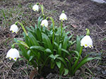 PICT6679.jpg