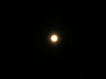 PICT6748.jpg