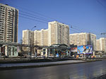 PICT7073.jpg