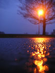 PICT0092.jpg