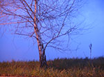 PICT0095.jpg